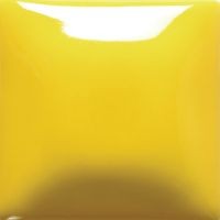 FN 002 gl. žlutá/473 ml