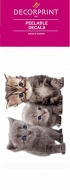 13383-AP Obtisk Decorprint 10x20 cm